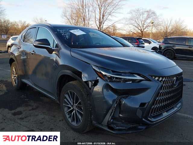 Lexus NX 2024 2