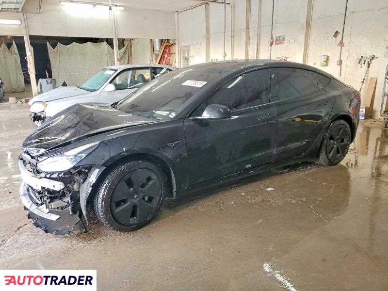 Tesla Model 3 2021