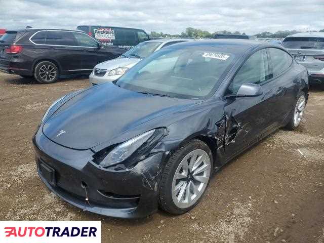 Tesla Model 3 2021 Tesla Model 3 2021