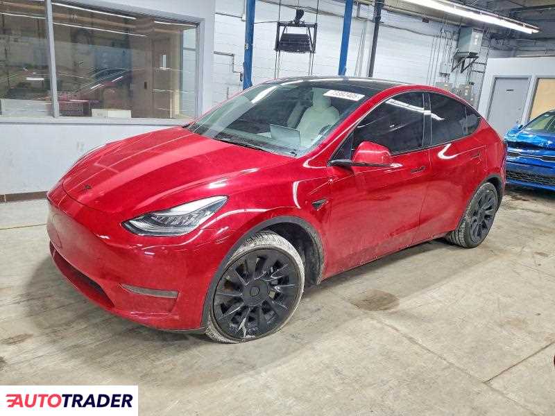 Tesla Model Y 2021