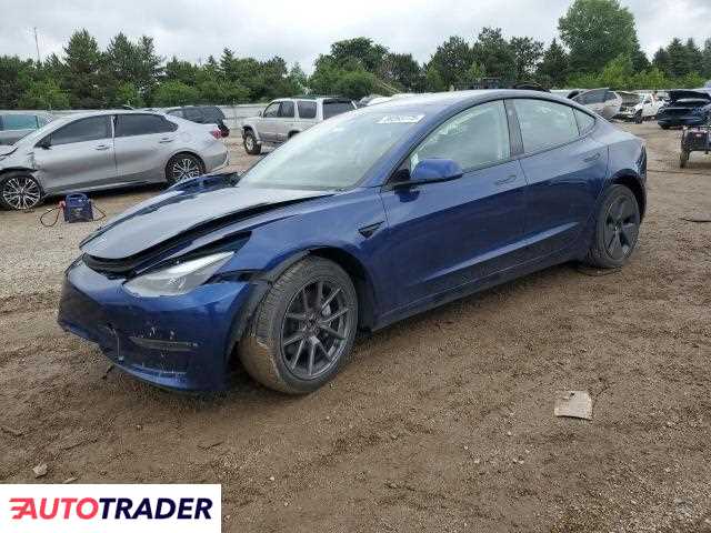 Tesla Model 3 2021