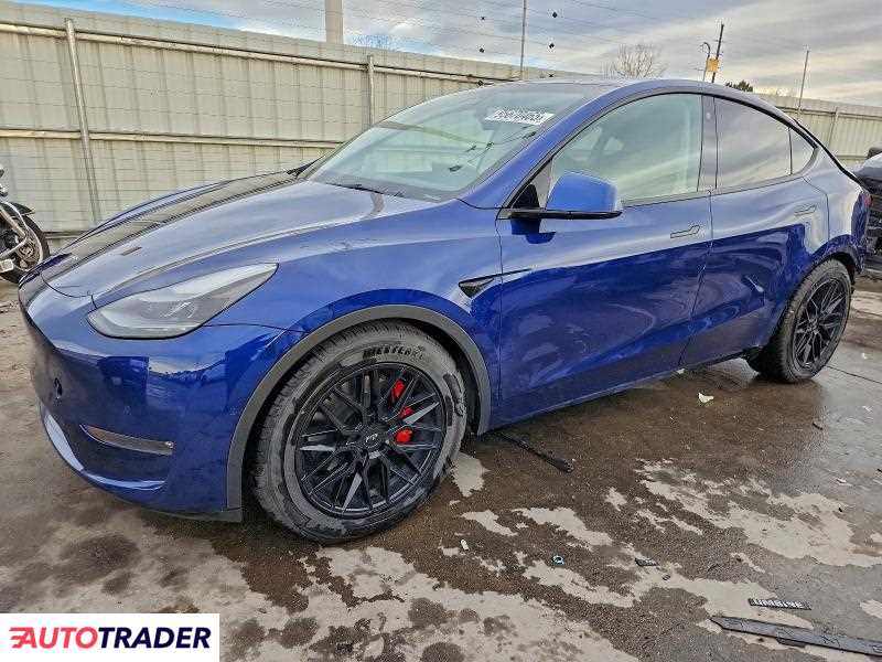 Tesla Model Y 2021