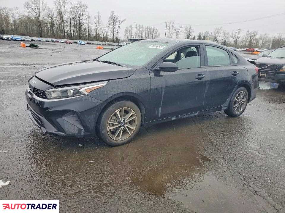 Kia Pozostałe 2022 2