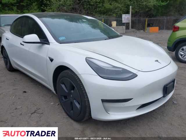 Tesla Model 3 2021 Tesla Model 3 2021