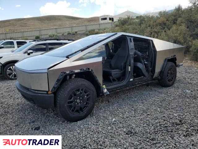 Tesla Pozostałe 2025