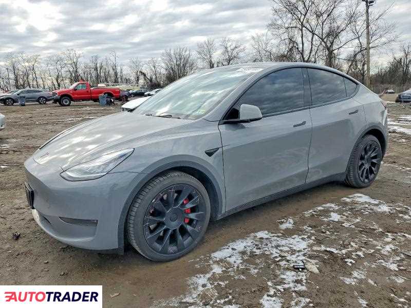 Tesla Model Y 2021