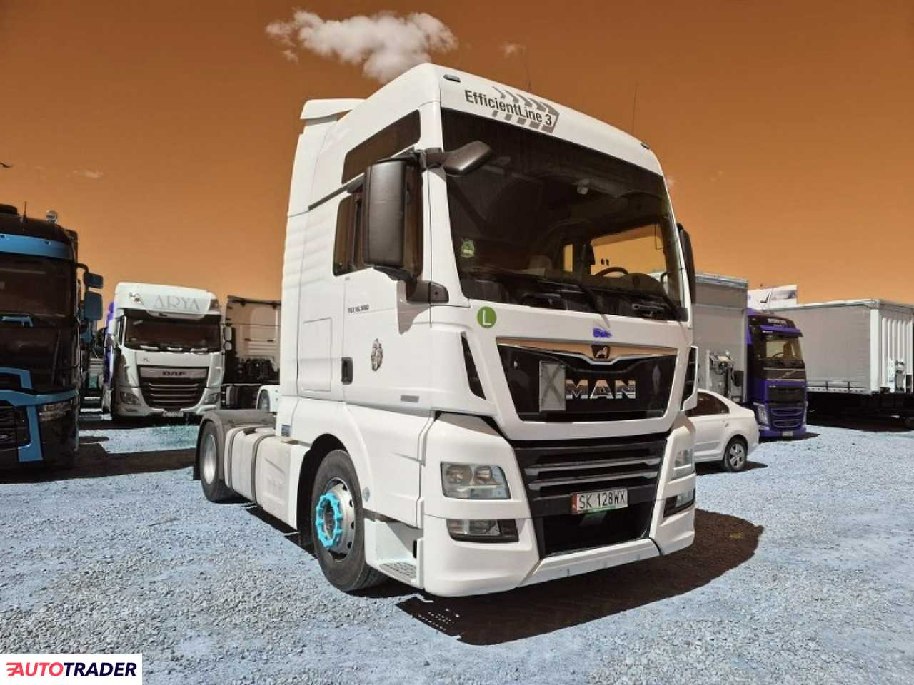 Man Tgx