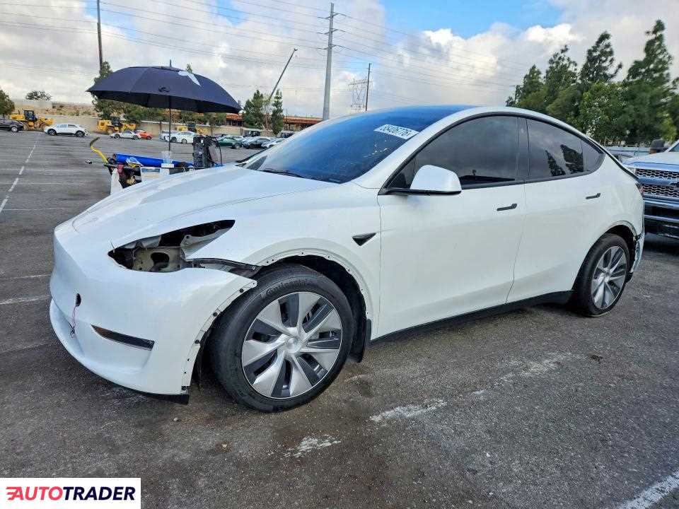 Tesla Model Y 2021