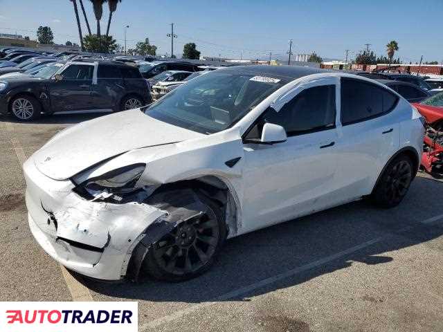 Tesla Model Y 2020
