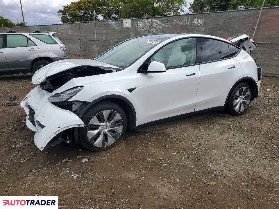 Tesla Model Y 2021