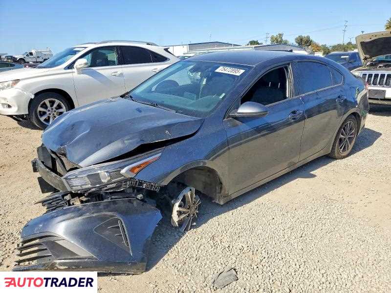 Kia Pozostałe 2024 2