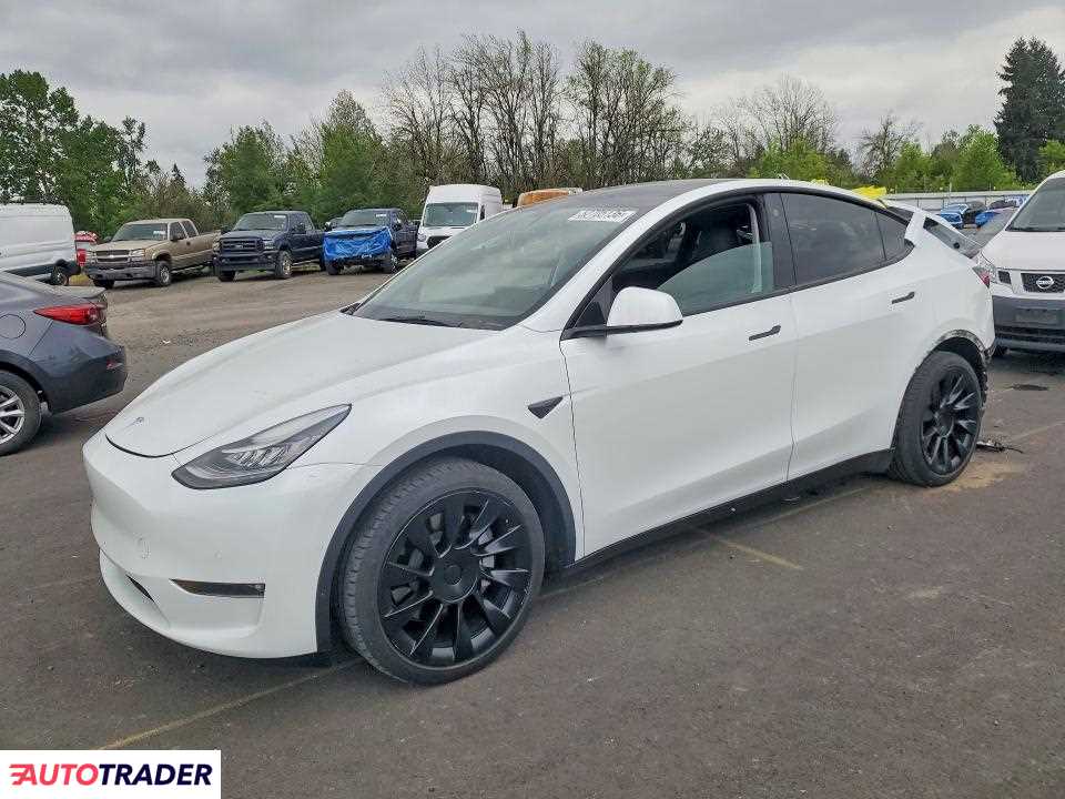 Tesla Model Y 2021