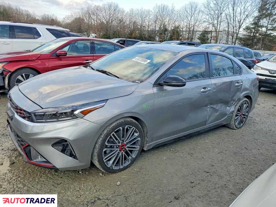 Kia Pozostałe 2024 1