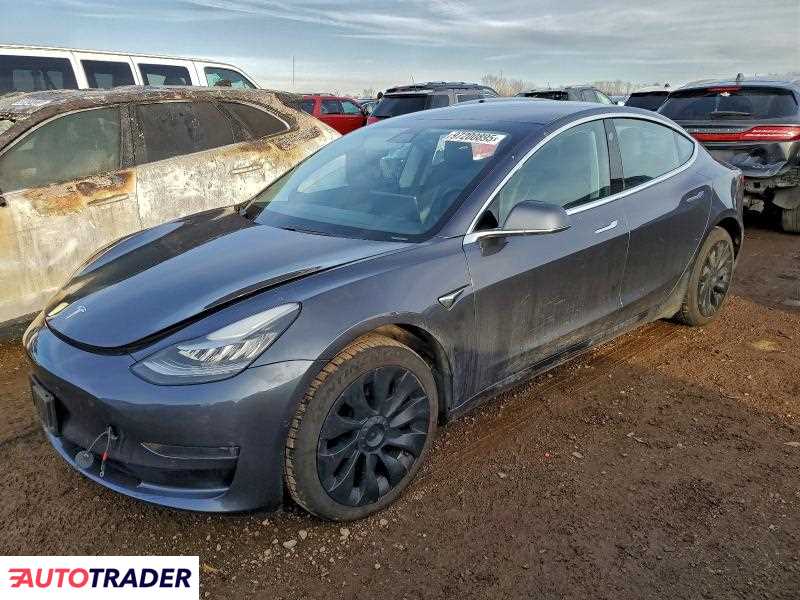Tesla Model 3 2019