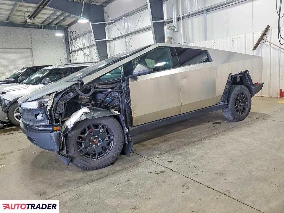 Tesla Pozostałe 2024