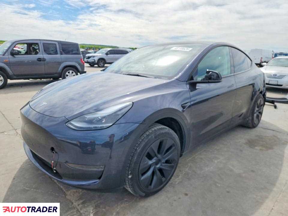 Tesla Model Y 2025
