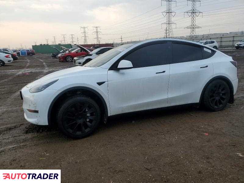 Tesla Model Y 2024