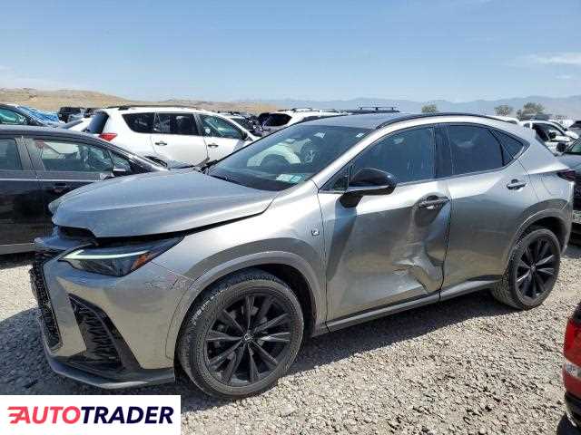 Lexus NX 2024 2