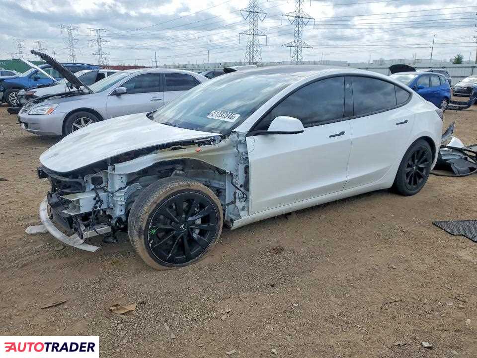 Tesla Model 3 2021