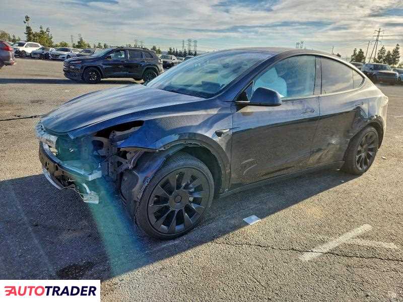 Tesla Model Y 2024