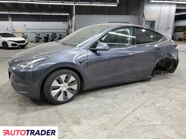 Tesla Model Y 2021 Tesla Model Y 2021
