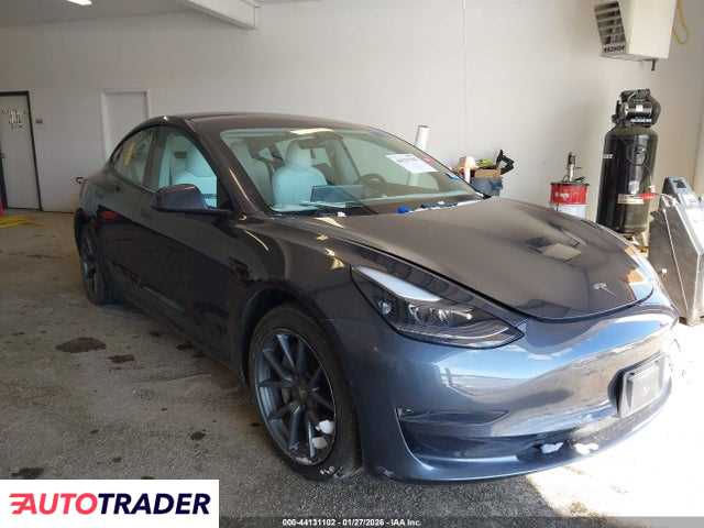Tesla Model 3 2021