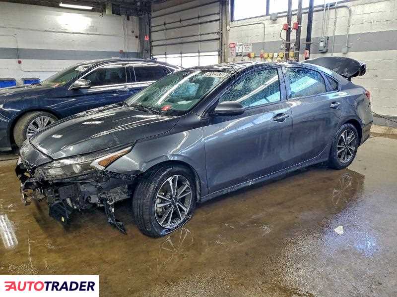 Kia Pozostałe 2024 2