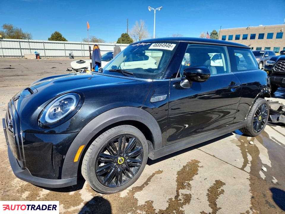 Austin Mini 2024