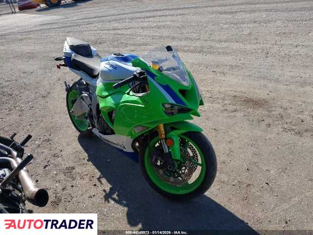 Kawasaki ZX 2024