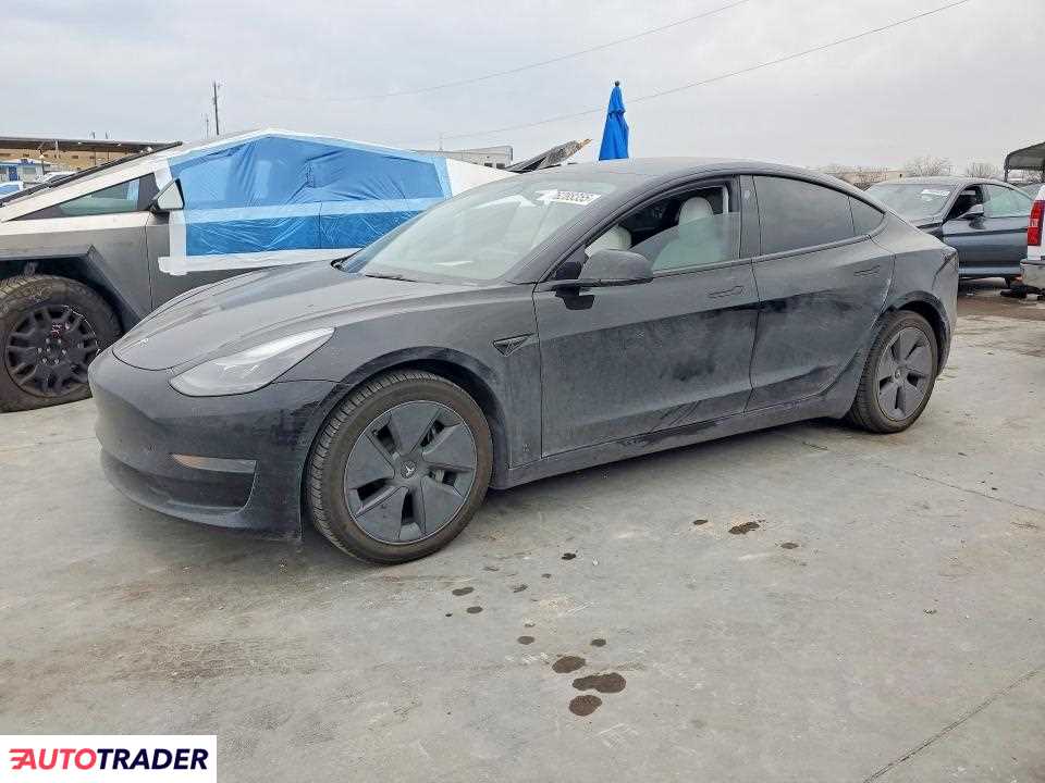Tesla Model 3 2022