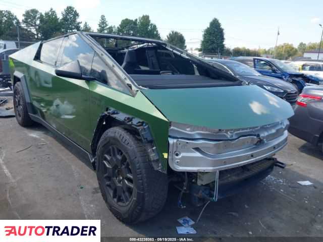 Tesla Pozostałe 2024