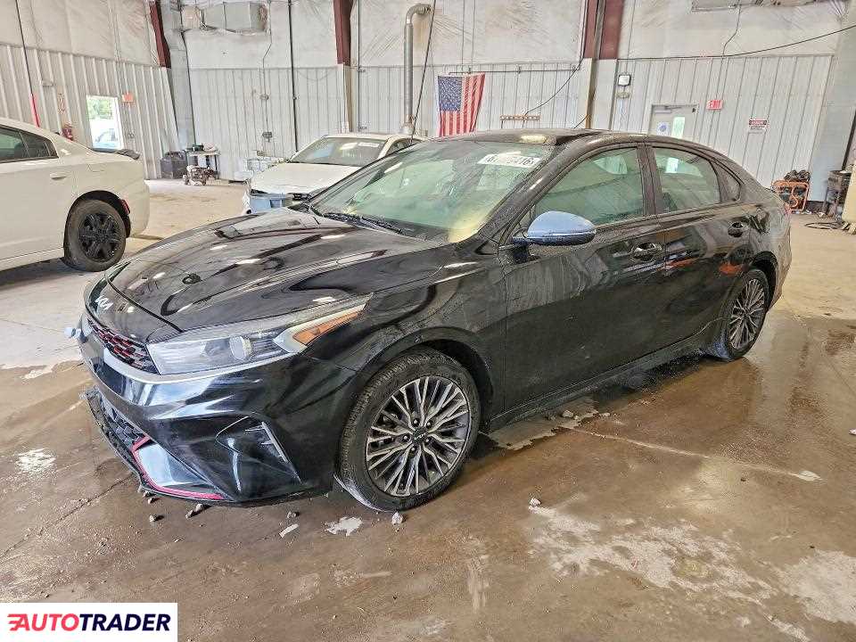 Kia Pozostałe 2024 2