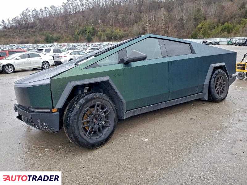 Tesla Pozostałe 2024