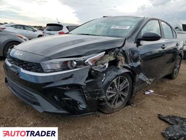 Kia Pozostałe 2024 2