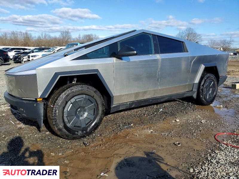 Tesla Pozostałe 2025