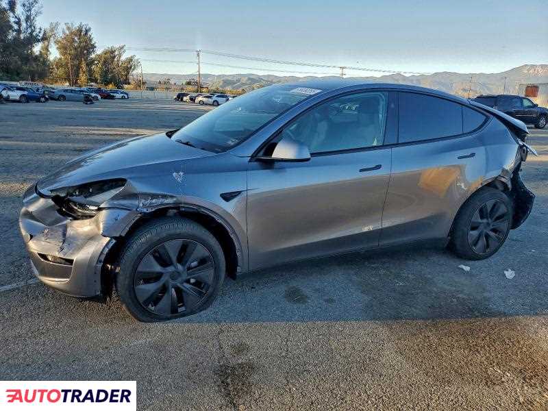 Tesla Model Y 2025