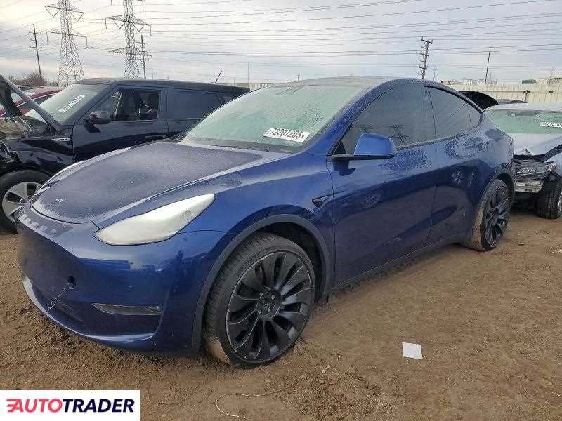 Tesla Model Y 2020