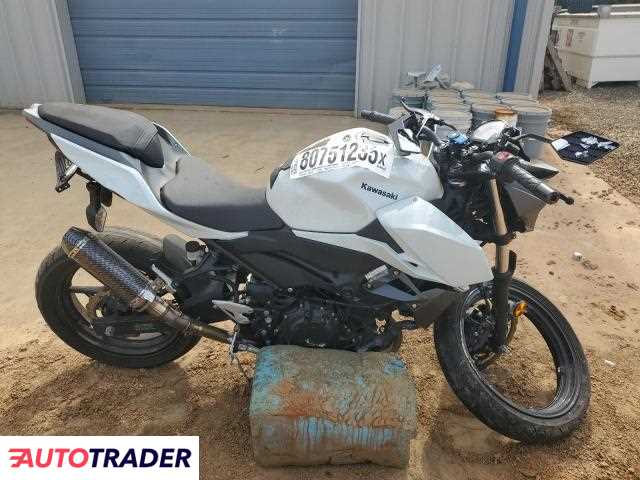 Kawasaki Z 2023