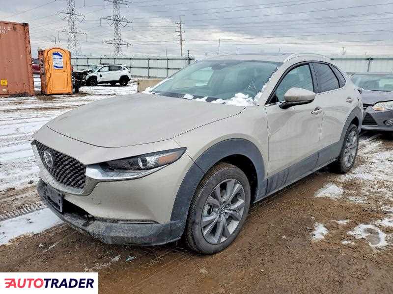 Mazda CX-30 2024 2