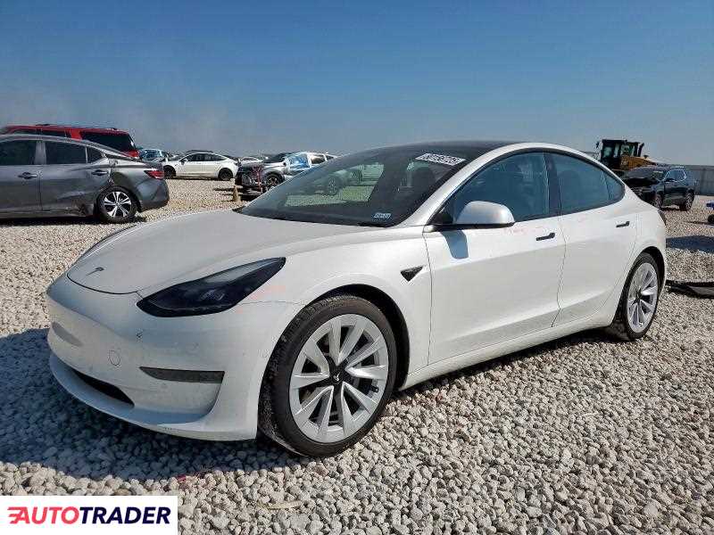 Tesla Model 3 2021 Tesla Model 3 2021