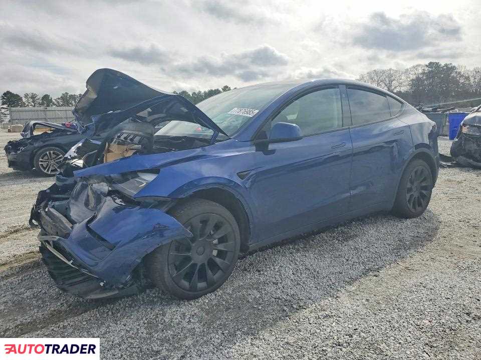 Tesla Model Y 2024