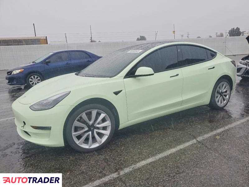 Tesla Model 3 2021