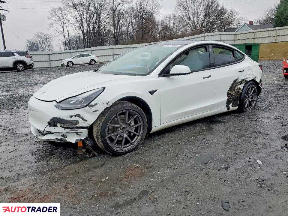 Tesla Model 3 2021