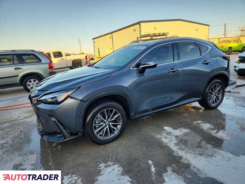 Lexus NX 2024 2