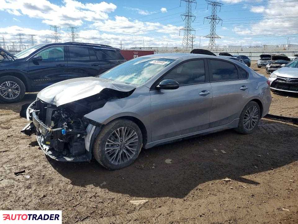 Kia Pozostałe 2024 2