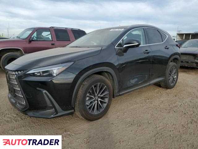 Lexus NX 2024 2