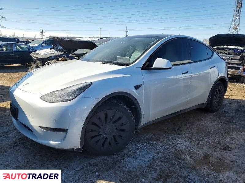 Tesla Model Y 2021