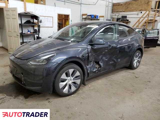 Tesla Model Y benzyna 2024r. (HAM LAKE)