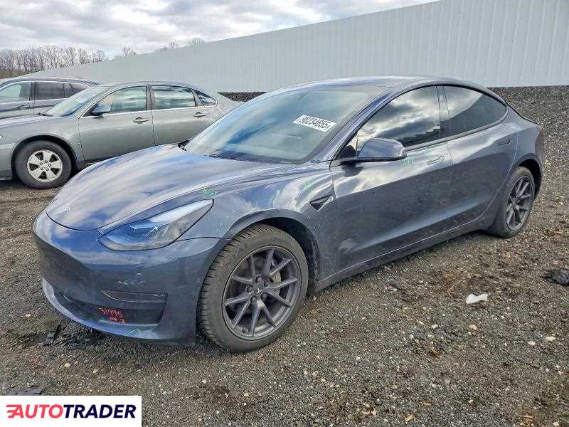 Tesla Model 3 2021