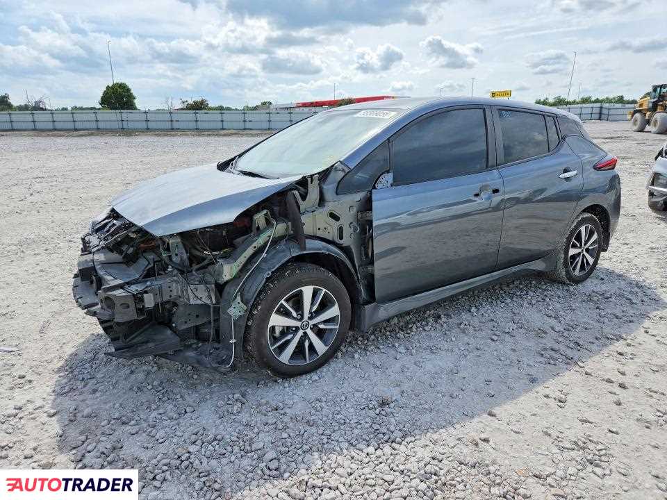 Nissan Leaf 2020